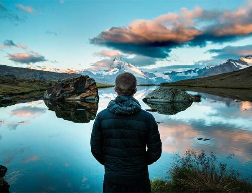 گرافیک بینظیر بازی جدید، زیباست.