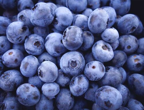 بهترین بازی های موبایل