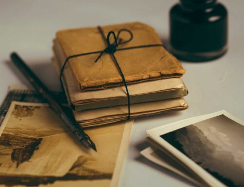 بندر در میان کندی نمایش فیلم شهر خواننده